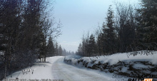 Sebastian Loeb Rally Evo - Sweden