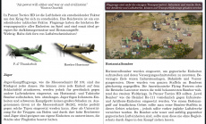 Panzer Tactics HD - Geheimdienstberichte #3 und Release-Datum