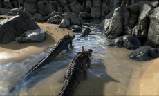 ARK: Survival Evolved – A New Breed of Open-World Dinosaur Adventure is Coming