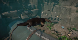 Planet Zoo: Wetlands Animal Pack