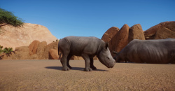 Planet Zoo: Arid Animal Pack