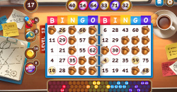 Bingo Beavers - Board game & Design