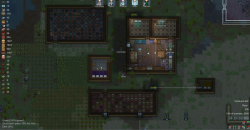 RimWorld Review