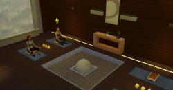 Die Sims 4: Wellness-Tag