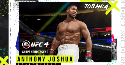 UFC 4