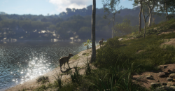 theHunter: Call of the Wild - Emerald Coast Australia DLC