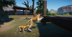 Planet Zoo: Southeast Asia Animal Pack