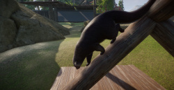 Planet Zoo: Southeast Asia Animal Pack