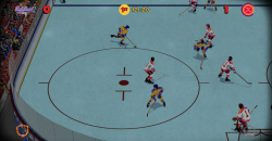 Bush Hockey League