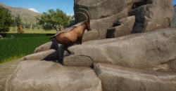 Planet Zoo Europe Pack