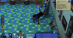 Die Sims 3