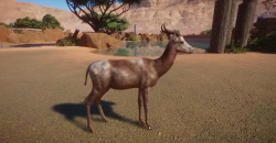 Planet Zoo: Arid Animal Pack