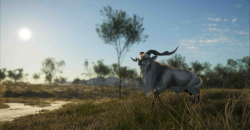 theHunter: Call of the Wild - Emerald Coast Australia DLC