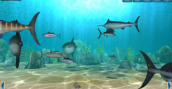 World of Fishing Screens