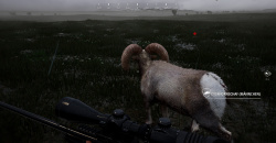 Hunting Simulator 2