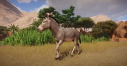 Planet Zoo: Arid Animal Pack