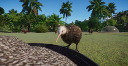 Planet Zoo: Oceania Pack