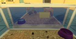 Pet Shop Simulator