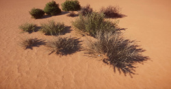 Planet Zoo: Arid Animal Pack