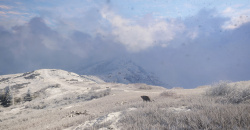 theHunter: Call of the Wild - Sundarpatan Nepal Hunting Reserve