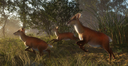 theHunter: Call of the Wild - Sundarpatan Nepal Hunting Reserve