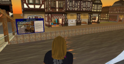 Second Life Starterpaket