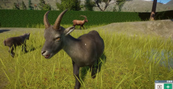 Planet Zoo Europe Pack