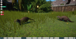 Planet Zoo: Wetlands Animal Pack