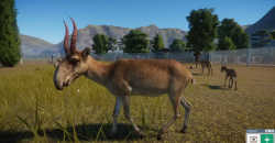 Planet Zoo: Eurasia Animal Pack