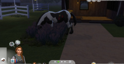 Die Sims 4: Pferderanch-Erweiterungspack