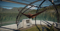 Jurassic World Evolution 2: Feathered Species Pack