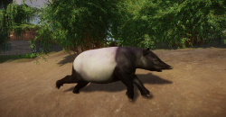 Planet Zoo: Southeast Asia Animal Pack