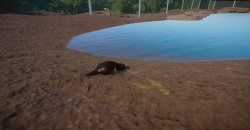 Planet Zoo: Wetlands Animal Pack