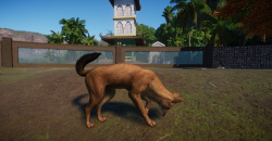 Planet Zoo: Southeast Asia Animal Pack