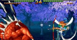 Samurai Shodown V