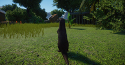 Planet Zoo: Wetlands Animal Pack