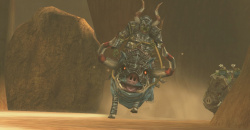 The Legend of Zelda: Twilight Princess Wii U