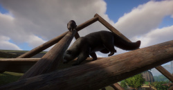 Planet Zoo: Southeast Asia Animal Pack