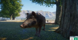 Planet Zoo: Eurasia Animal Pack