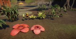 Planet Zoo: Tropical Pack