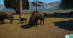 Planet Zoo: Eurasia Animal Pack