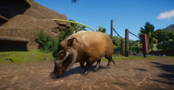 Planet Zoo: Tropical Pack