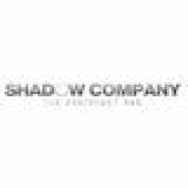 Shadow Company: The Mercenary War angekündigtNews - Spiele-News  |  DLH.NET The Gaming People