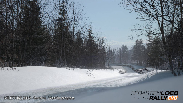 Sebastian Loeb Rally EvoNews - Spiele-News  |  DLH.NET The Gaming People