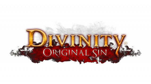 Divinity: Original Sin erhält Collector’s Edition, Mac-Release und Beta-UpdateNews - Spiele-News  |  DLH.NET The Gaming People