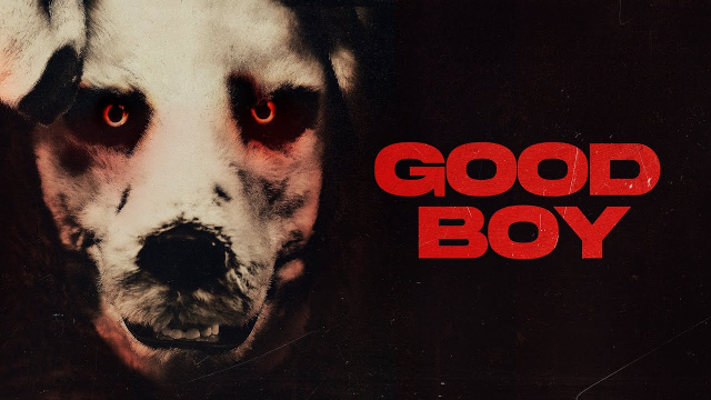 GOOD BOY - ab 28. Juni im Home EntertainmentNews  |  DLH.NET The Gaming People